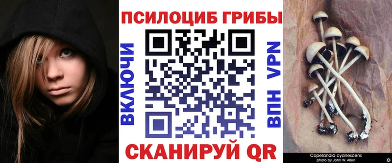 Псилоцибиновые грибы прущие грибы  где можно купить   mega ONION  Смоленск 