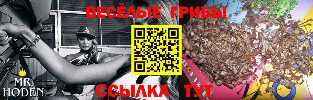 Галлюциногенные грибы Psilocybe  Галлюциногенные грибы GOLDEN TEACHER  Смоленск  Вход с VPN 
